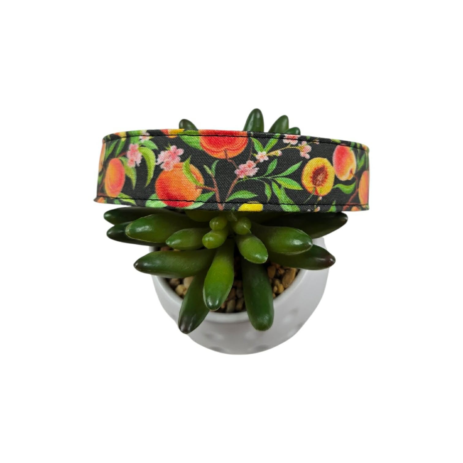 Peach Tree on Black Dog Collar (Large)