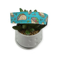 Tacos on Aqua Dog Collar (Large)