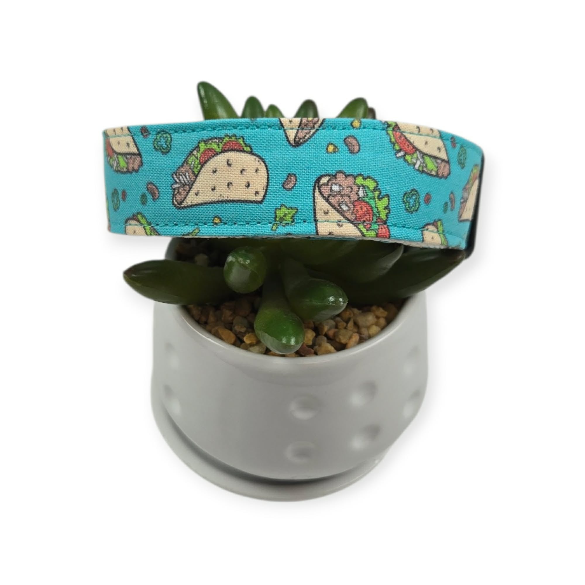 Tacos on Aqua Dog Collar (Medium, 1" Wide)