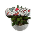 Christmas Rainbows Dog Collar (Large)