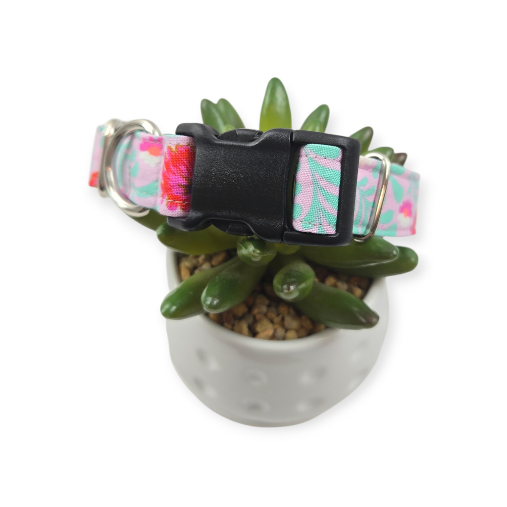 Untamed Flower field Dog Collar (Medium)