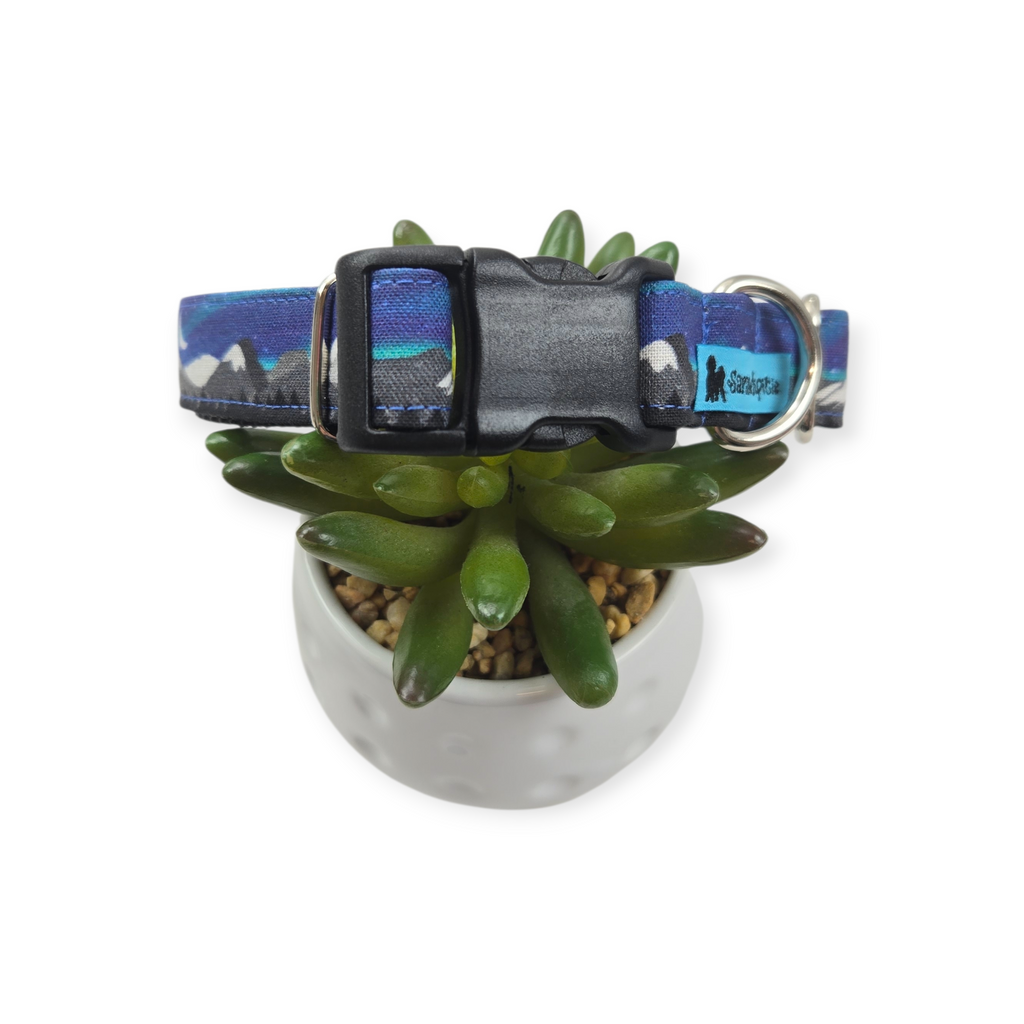 Aurora Borealis Dog Collar (Small, 3/4" wide)