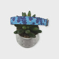 Texas Bluebonnet Wildflowers Dog Collar (Small)