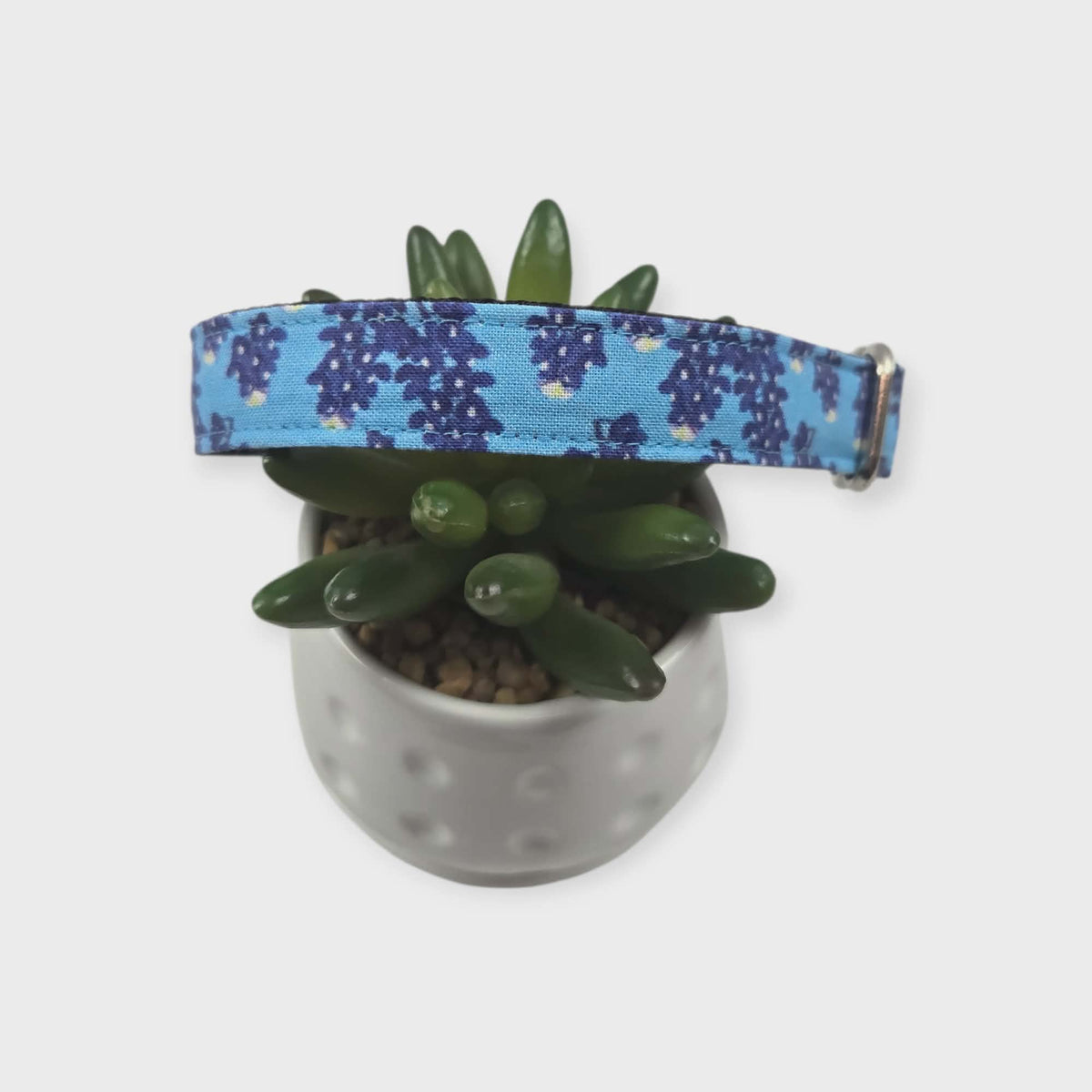Texas Bluebonnet Wildflowers Dog Collar (Small)