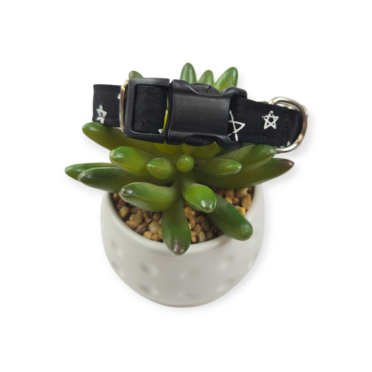 Sketched Stars dog collar (Small)