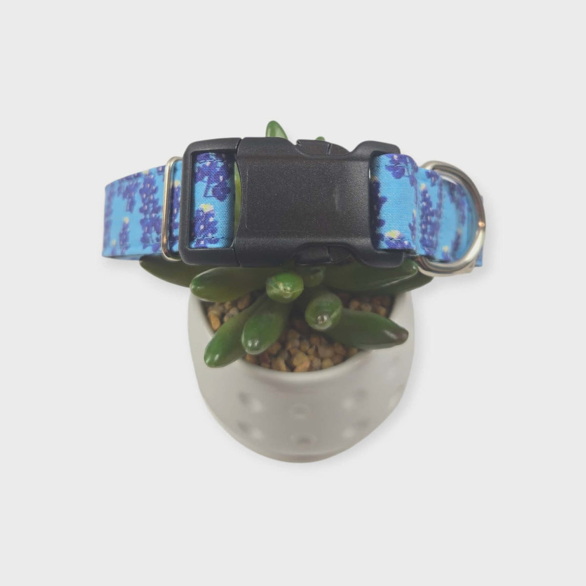 Texas Bluebonnet Wildflowers Dog Collar (Medium, 1" wide)