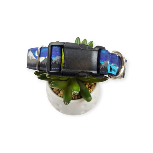 Aurora Borealis Dog Collar (Medium)
