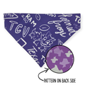 Horned Frogs/Purple Texas Reversible Slide-on Bandana (Medium)